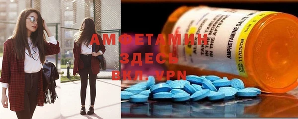 PSILOCYBIN Ельня