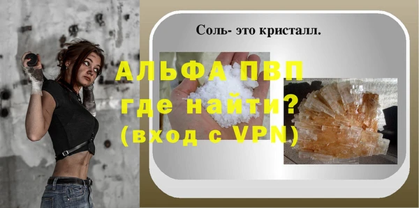 стафф Михайлов