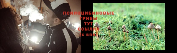кокаин перу Елабуга