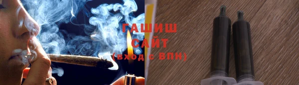 PSILOCYBIN Ельня