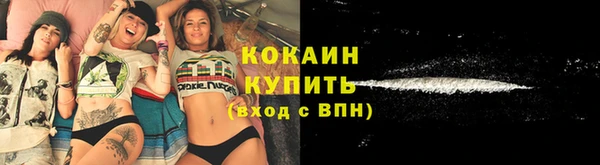 PSILOCYBIN Ельня