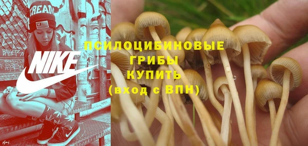 прущая мука Елизово