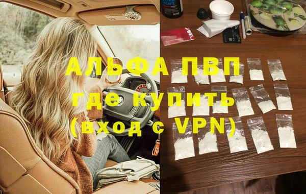 PSILOCYBIN Ельня