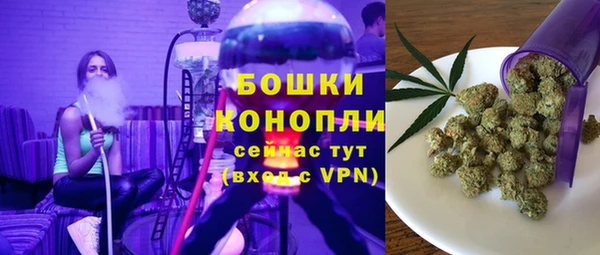 дживик Нефтегорск