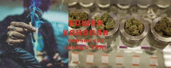 PSILOCYBIN Ельня